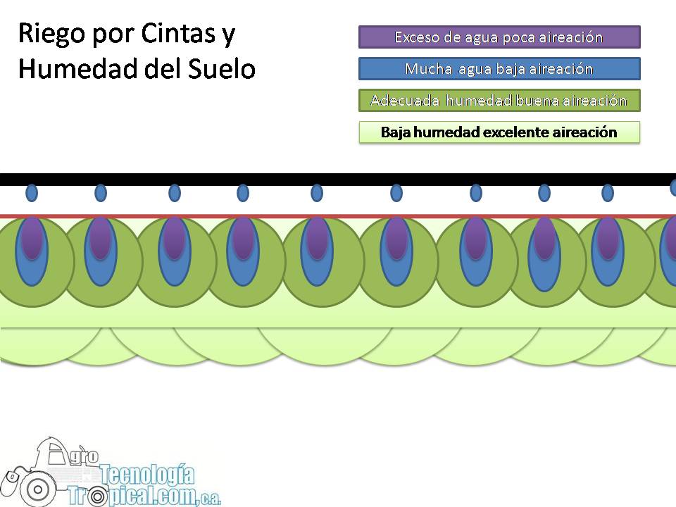 Distribucion humedad del suelo regado por cintas